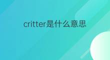 critter是什么意思 critter的中文翻译、读音、例句
