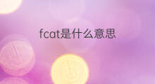 fcat是什么意思 fcat的中文翻译、读音、例句
