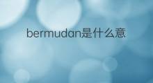 bermudan是什么意思 bermudan的中文翻译、读音、例句