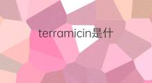 terramicin是什么意思 terramicin的中文翻译、读音、例句