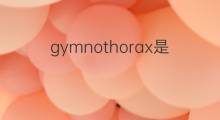 gymnothorax是什么意思 gymnothorax的中文翻译、读音、例句