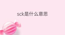 sck是什么意思 sck的中文翻译、读音、例句
