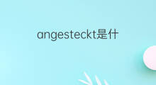 angesteckt是什么意思 angesteckt的中文翻译、读音、例句