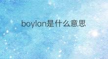 boylan是什么意思 boylan的中文翻译、读音、例句