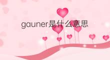 gauner是什么意思 gauner的中文翻译、读音、例句