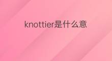 knottier是什么意思 knottier的中文翻译、读音、例句