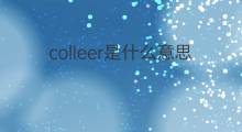 colleer是什么意思 colleer的中文翻译、读音、例句