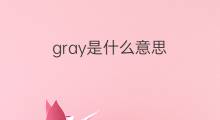 gray是什么意思 gray的中文翻译、读音、例句