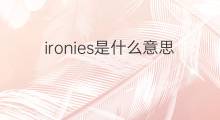 ironies是什么意思 ironies的中文翻译、读音、例句