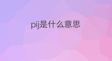 pij是什么意思 pij的中文翻译、读音、例句