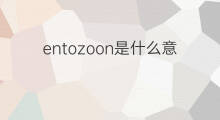 entozoon是什么意思 entozoon的中文翻译、读音、例句