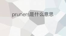 pruners是什么意思 pruners的中文翻译、读音、例句