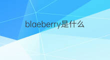 blaeberry是什么意思 blaeberry的中文翻译、读音、例句