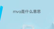 mva是什么意思 mva的中文翻译、读音、例句