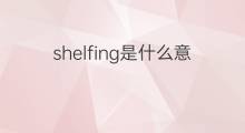 shelfing是什么意思 shelfing的中文翻译、读音、例句