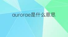 aurorae是什么意思 aurorae的中文翻译、读音、例句