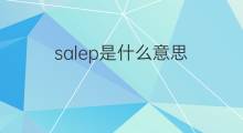 salep是什么意思 salep的中文翻译、读音、例句