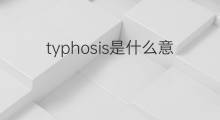 typhosis是什么意思 typhosis的中文翻译、读音、例句