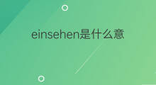 einsehen是什么意思 einsehen的中文翻译、读音、例句
