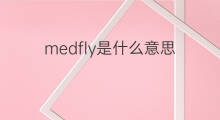 medfly是什么意思 medfly的中文翻译、读音、例句