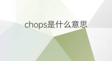 chops是什么意思 chops的中文翻译、读音、例句