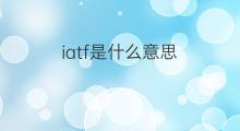 iatf是什么意思 iatf的中文翻译、读音、例句