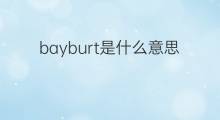 bayburt是什么意思 bayburt的中文翻译、读音、例句