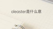 oleaster是什么意思 oleaster的中文翻译、读音、例句