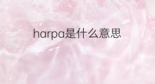 harpa是什么意思 harpa的中文翻译、读音、例句