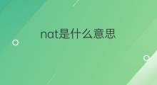 nat是什么意思 nat的中文翻译、读音、例句