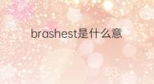 brashest是什么意思 brashest的中文翻译、读音、例句