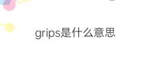 grips是什么意思 grips的中文翻译、读音、例句