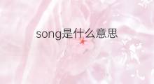 song是什么意思 song的中文翻译、读音、例句