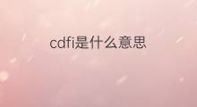 cdfi是什么意思 cdfi的中文翻译、读音、例句