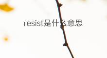 resist是什么意思 resist的中文翻译、读音、例句