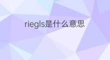 riegls是什么意思 riegls的中文翻译、读音、例句