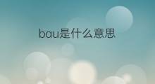 bau是什么意思 bau的中文翻译、读音、例句