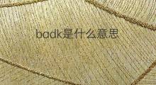 badk是什么意思 badk的中文翻译、读音、例句
