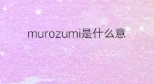 murozumi是什么意思 murozumi的中文翻译、读音、例句