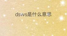dsws是什么意思 dsws的中文翻译、读音、例句