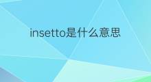 insetto是什么意思 insetto的中文翻译、读音、例句