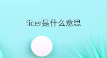 ficer是什么意思 ficer的中文翻译、读音、例句