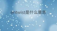 entwist是什么意思 entwist的中文翻译、读音、例句