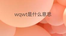 wqwt是什么意思 wqwt的中文翻译、读音、例句