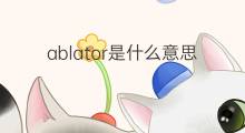 ablator是什么意思 ablator的中文翻译、读音、例句