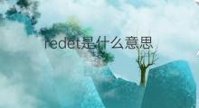 redet是什么意思 redet的中文翻译、读音、例句