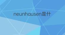 neunhausen是什么意思 neunhausen的中文翻译、读音、例句