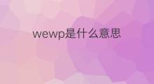 wewp是什么意思 wewp的中文翻译、读音、例句
