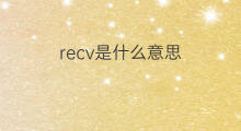 recv是什么意思 recv的中文翻译、读音、例句