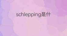 schlepping是什么意思 schlepping的中文翻译、读音、例句
